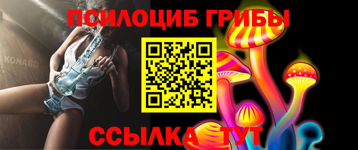 Ступино  Галлюциногенные грибы Psilocybine cubensis  где найти   Вход с VPN 